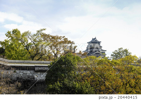 熊本城 天守閣 熊本城 天守閣 20440415
