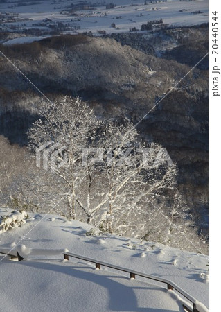 樹氷_洞爺 樹氷_洞爺 20440544