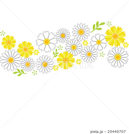 Flower Background Gerbera And Daisy のイラスト素材
