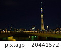 ブラウンショコラ 20441572