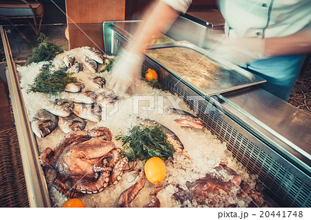 seafood on ice and human hands 20441748