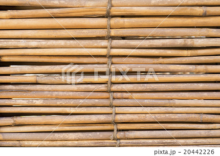 竹 テクスチャの写真素材 竹 テクスチャの写真素材