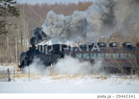 SL冬の湿原号 SL冬の湿原号 20442341