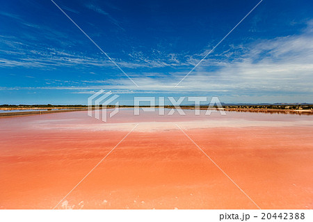 Salt lake Salt lake 20442388