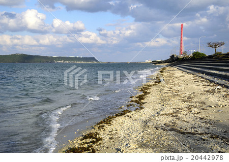 海中道路 20442978