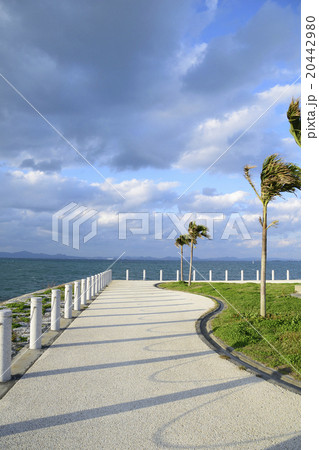 海中道路 20442980