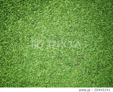 Golf Courses green lawn Golf Courses green lawn 20443141