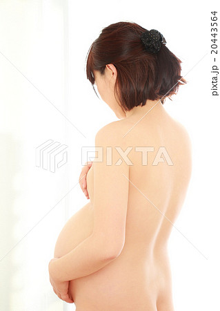 臨月のお腹 臨月のお腹 20443564