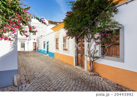 Typical Portuguese alley. street of the village. 20443992