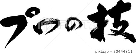 プロの技 20444311