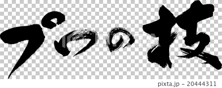 プロの技 20444311