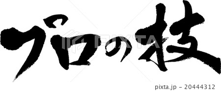 プロの技 20444312