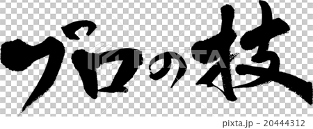 プロの技 20444312
