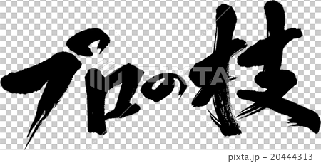 プロの技 20444313