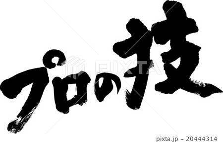 プロの技 20444314