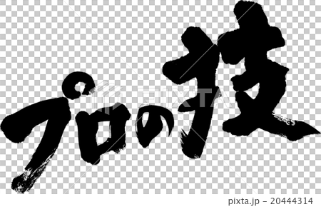 プロの技 20444314