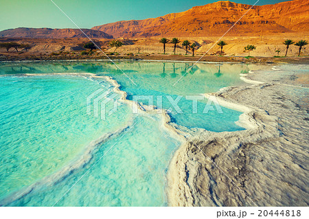 Dead sea salt shore 20444818