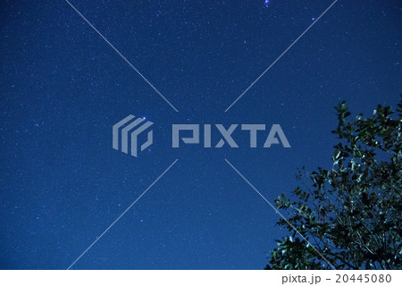 夜の公園 夜の公園 20445080