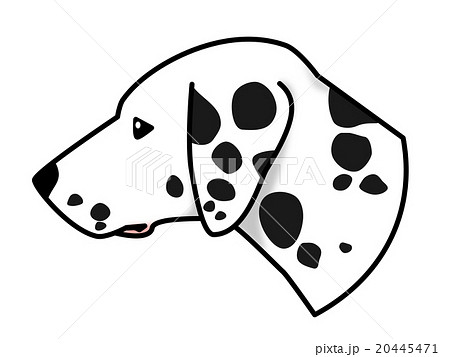 犬 ダルメシアン 横顔 イラストのイラスト素材