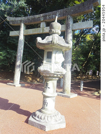 砥鹿神社　鳥居と灯篭 20445954