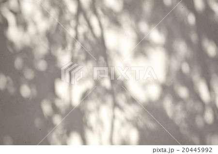 漆喰の塀に木漏れ日　淡い 20445992