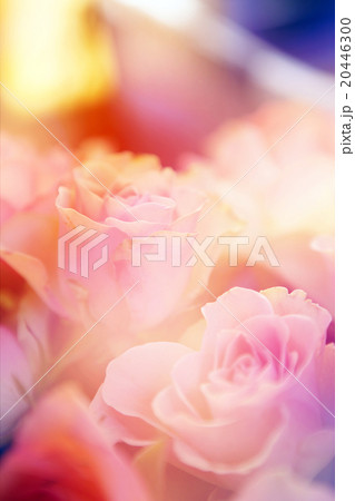 floral background 20446300