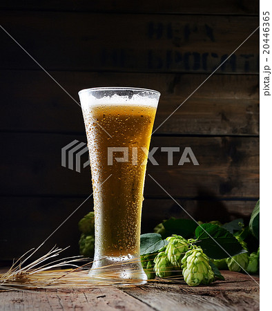 glass of beer and hop on a wooden background 20446365