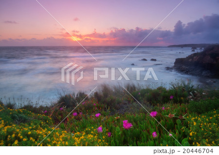 Magic sunset on the Algarve. Portugal. Magic sunset on the Algarve. Portugal. 20446704