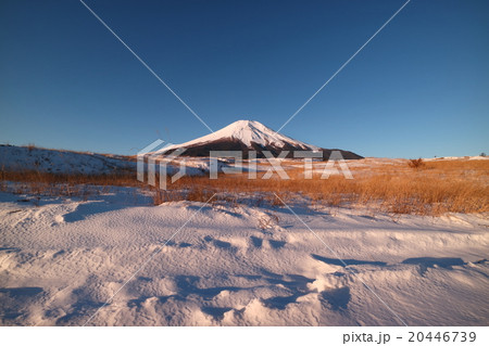 梨ヶ原からの富士山 梨ヶ原からの富士山 20446739