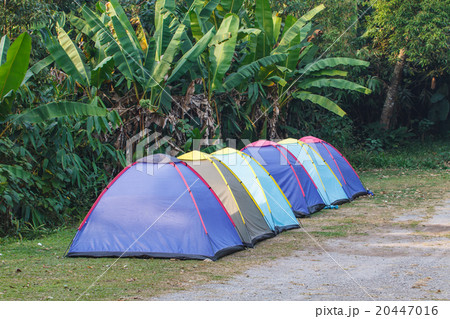 tent on campground in morning 20447016