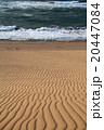 鳥取砂丘 20447084
