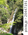 布引の滝 20447191