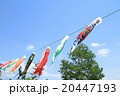 こいのぼり 20447193