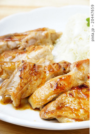 チキン料理 20447659