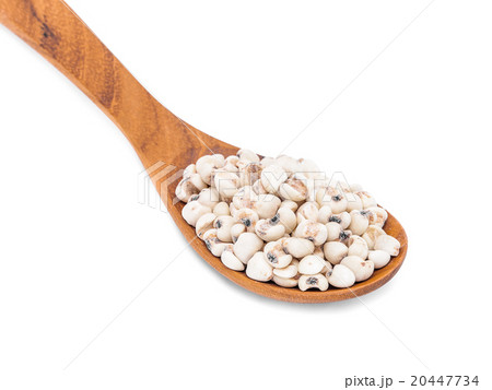 jobs tears with wooden spoon isolated on white 20447734