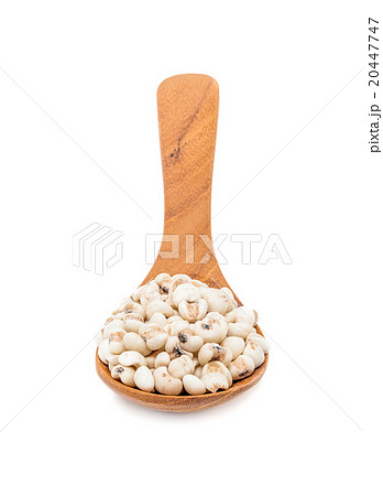 jobs tears with wooden spoon isolated on white jobs tears with wooden spoon isolated on white 20447747