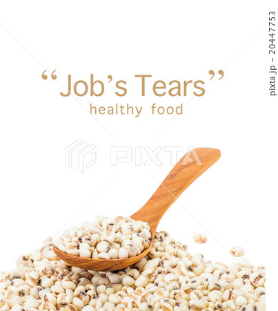 jobs tears with wooden spoon isolated on white 20447753