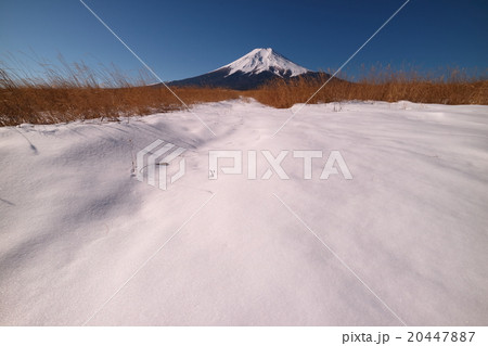 梨ヶ原の積雪と富士山 梨ヶ原の積雪と富士山 20447887