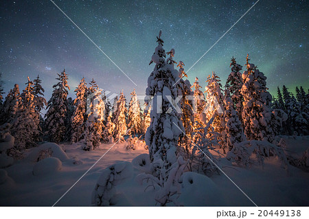 Camp fire in forest in Lapland 20449138