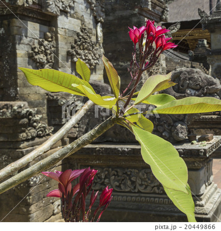 Temple in Bali, Indonesia on a beautiful sunny day 20449866