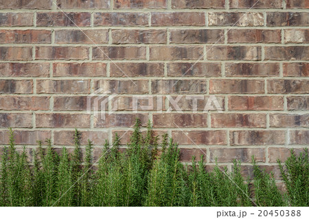 brick wall background brick wall background 20450388