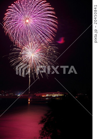 蒲江の花火 20450841
