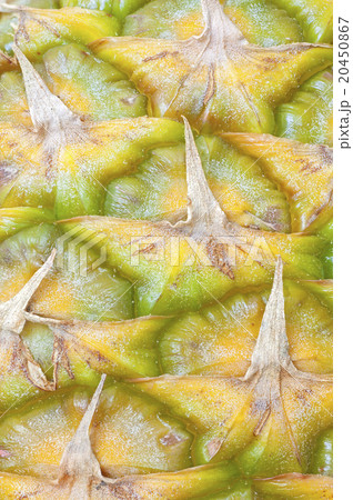 Close up picture of a fresh pineapple skin 20450867