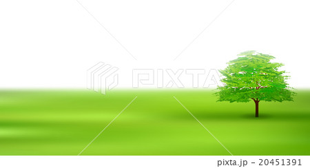 木　新緑　葉　背景  20451391