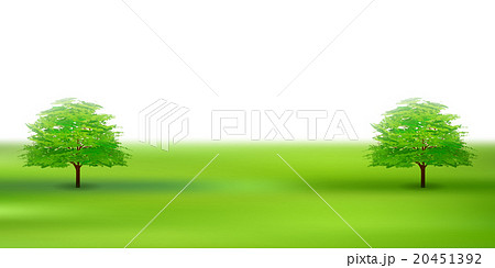 木　新緑　葉　背景  20451392
