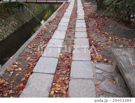 日本の風景（京都の小路） 20453364