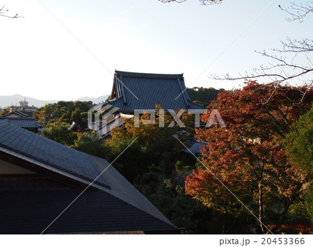 日本の風景（京都の寺） 20453366