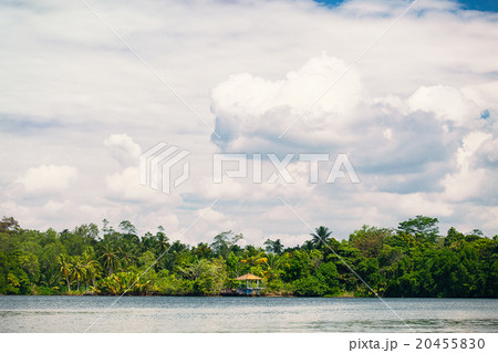 Lovely tropical coast 20455830