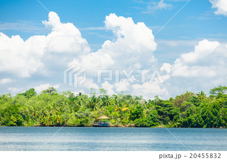 Lovely tropical coast 20455832