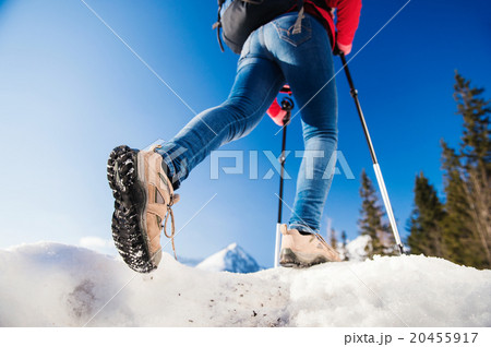 Young woman on a hike 20455917